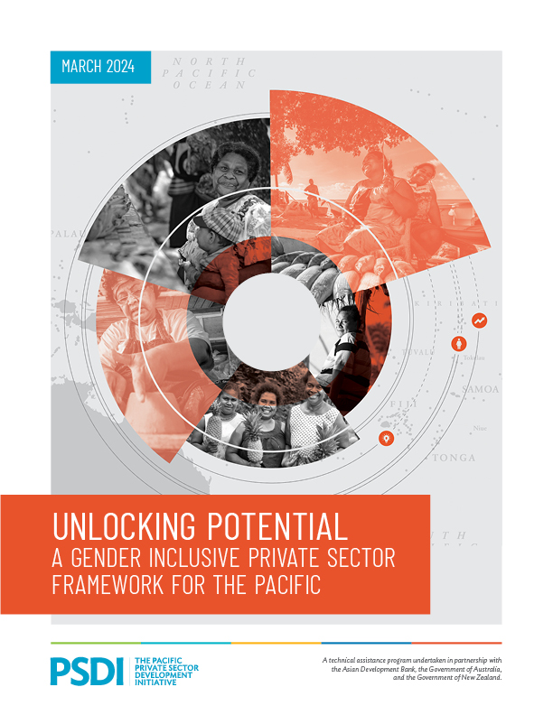Gender Inclusive Private Sector Framework report cover
